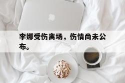 manbetx万博下载官网-李娜受伤离场，伤情尚未公布。