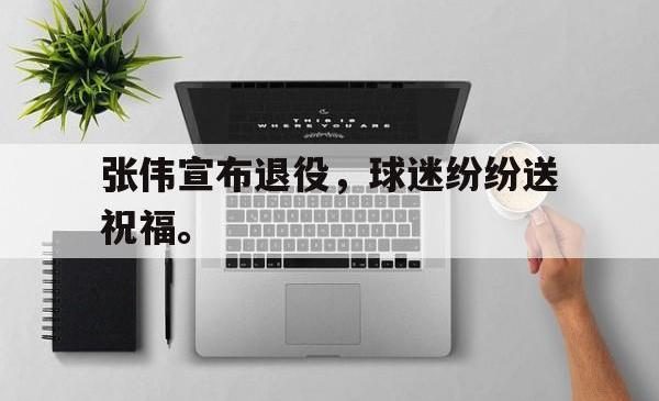 manbetx万博下载体育-张伟宣布退役，球迷纷纷送祝福。