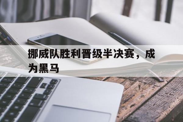 挪威队胜利晋级半决赛，成为黑马